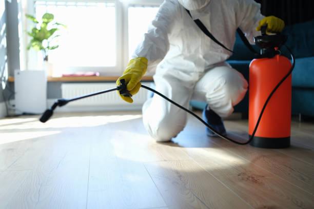 Reliable Odor Removal contractor in Troy, MO by Trauma Clean Pros